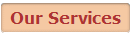 Our Services